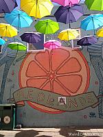 orange alley040