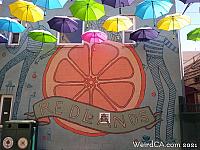 orange alley041