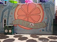 orange alley042