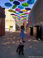 orange alley066