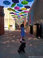 orange alley069