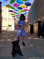 orange alley071