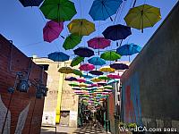 orange alley074