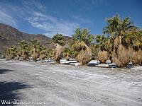 zzyzx58