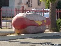 hotdog001