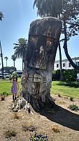 easterisland02