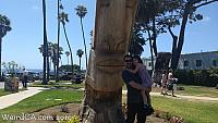 easterisland24