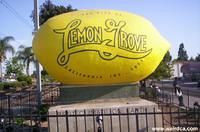 Giant Lemon of Lemon Grove
