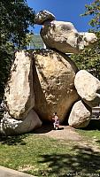ucsdbear06