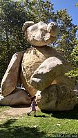 ucsdbear08