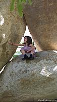 ucsdbear21