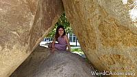 ucsdbear24