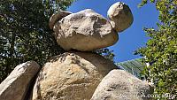 ucsdbear29