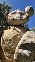 ucsdbear30