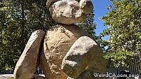 ucsdbear31