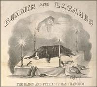 bummerandlazarus