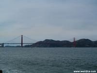 Is the San Francisco Bay home to Sassie the Sea Serpent?