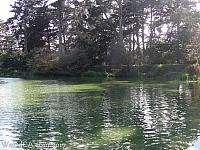 Stow Lake