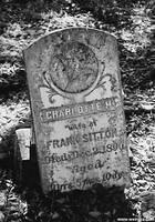 Adelaida Cemetery