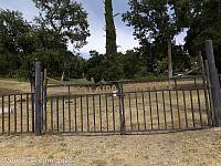 adelaida cemetery02