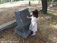 adelaida cemetery18