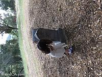 adelaida cemetery20
