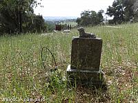 adelaida cemetery23