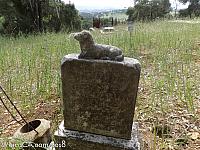 adelaida cemetery24
