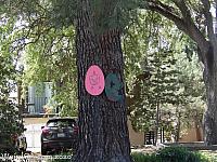 atown easter06
