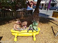 scarecrows 2020 011
