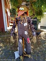 scarecrows 2020 041