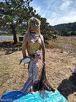scarecrows 2020 119