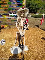 scarecrows 2020 247