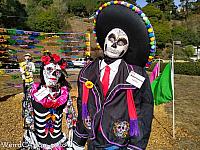 scarecrows 2020 307