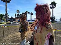 scarecrows 2020 326