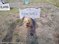 scarecrows 2020 327