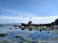 Cayucos Shipwreck