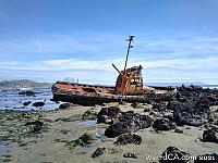 cayucos shipwreck025
