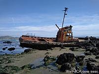 cayucos shipwreck027