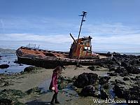 cayucos shipwreck028
