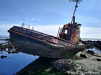cayucos shipwreck067