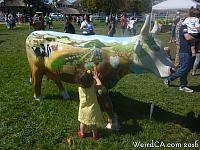 cow parade start25