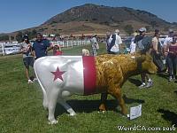 cow parade start73