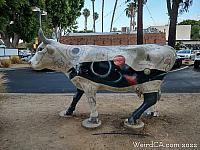 cow creamery07