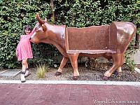 cow creamery47