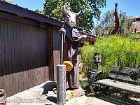 cow harmony17