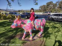 cow madonna20