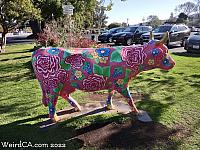 cow madonna49