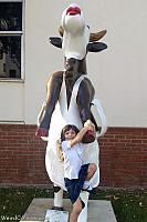cow marilyn009