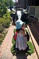cow paso robles02
